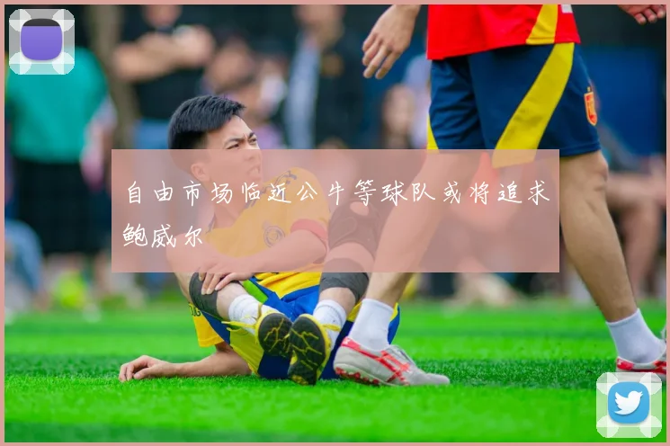 自由市场临近公牛等球队或将追求鲍威尔
